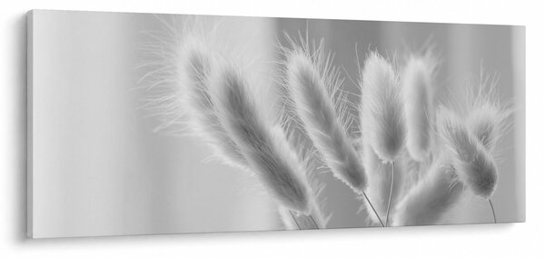 Kép - Nyuszi farok fű (120x50 cm)