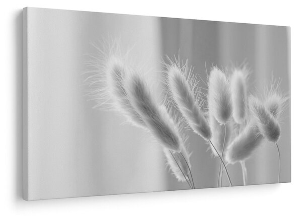 Kép - Nyuszi farok fű (90x60 cm)