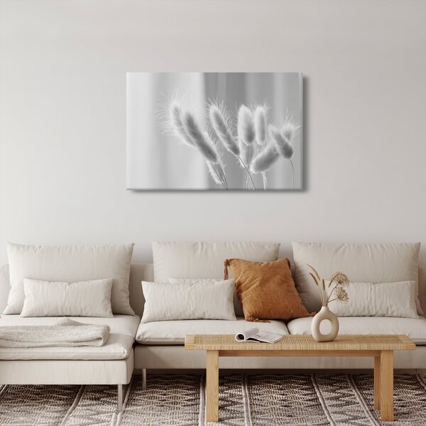 Kép - Nyuszi farok fű (90x60 cm)