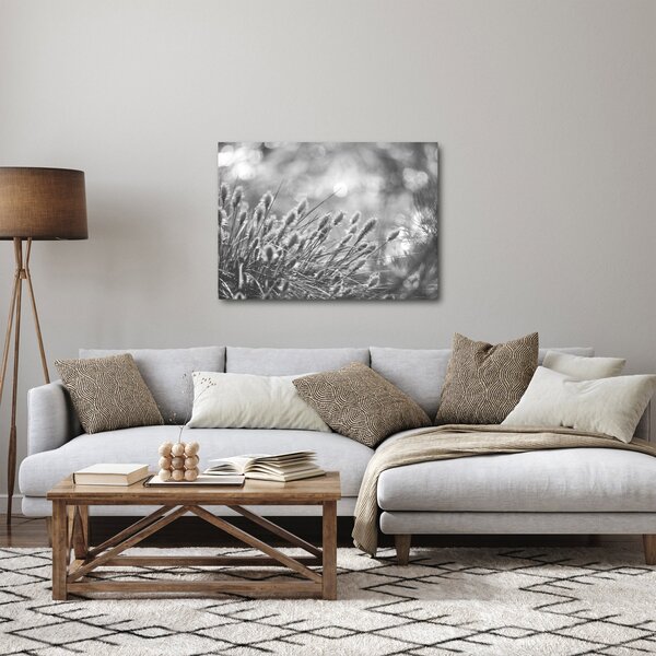 Kép - Bézs színű puha fű N⁰1 (70x50 cm)
