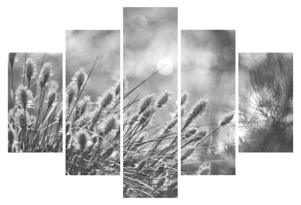 Kép - Bézs színű puha fű N⁰1 (150x105 cm)