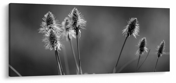 Kép - Bézs színű puha fű N⁰2 (120x50 cm)