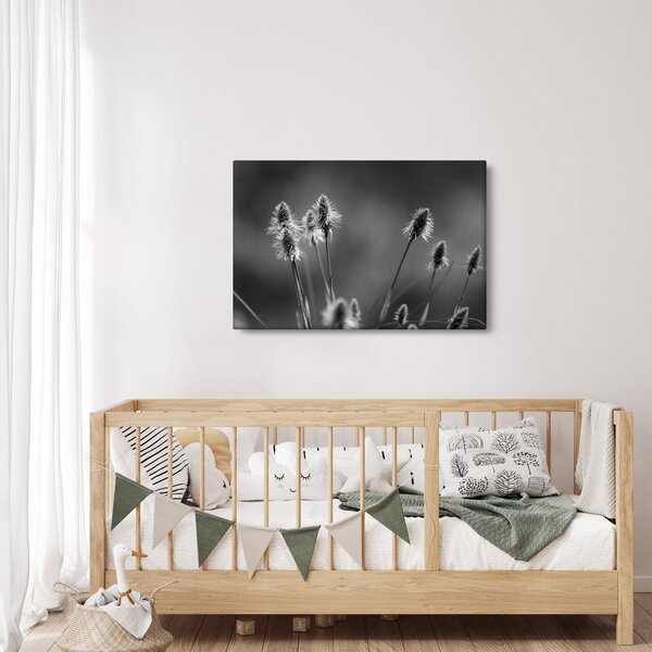 Kép - Bézs színű puha fű N⁰2 (90x60 cm)