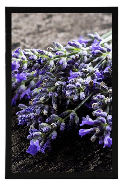 Poszter levandula csokor