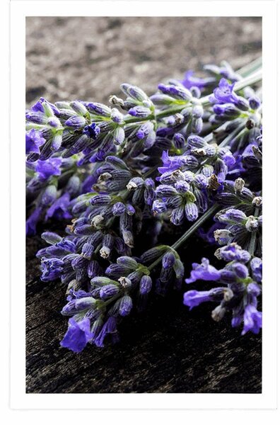 Poszter levandula csokor