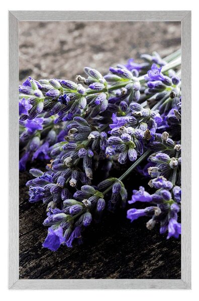 Poszter levandula csokor