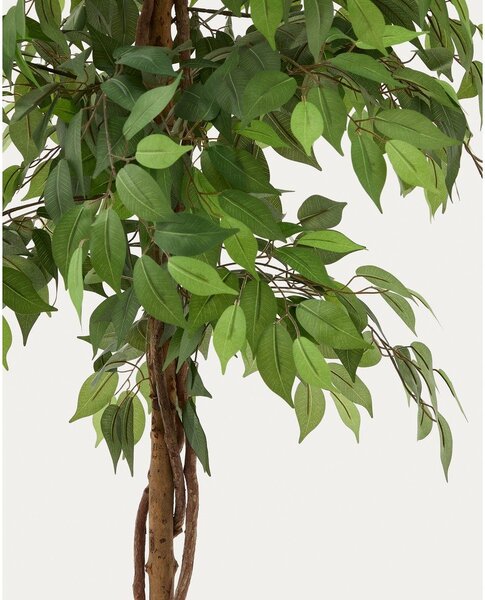 Fikusz műnövény (magasság 180 cm) Ficus – Kave Home