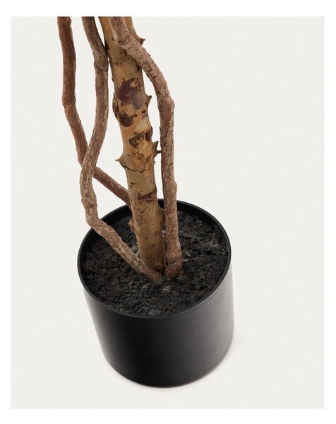 Fikusz műnövény (magasság 180 cm) Ficus – Kave Home