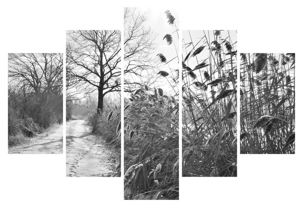 Kép - Mezők télen (150x105 cm)
