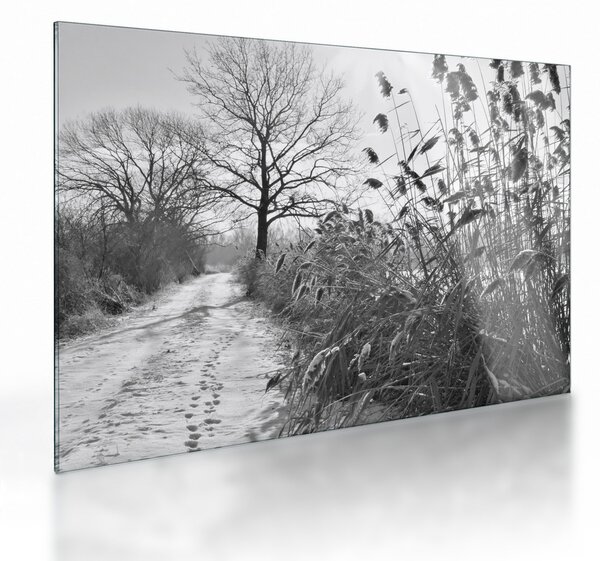 Üveg kép - Mezők télen (70x50 cm)