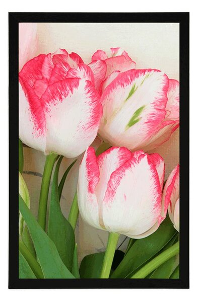 Poszter tavaszi tulipánok