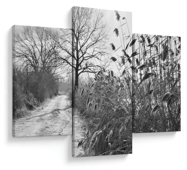 Kép - Mezők télen (90x60 cm)