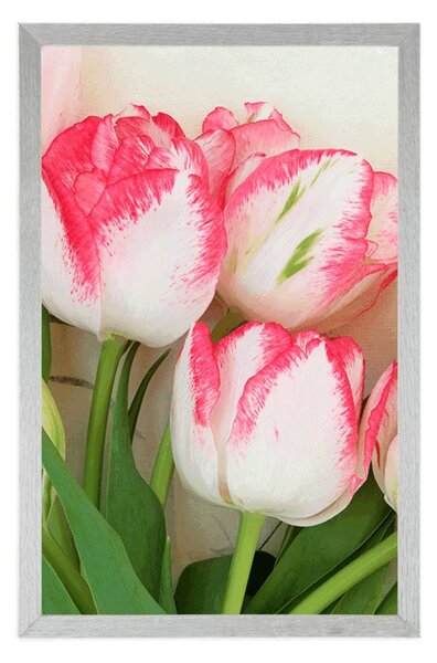 Poszter tavaszi tulipánok
