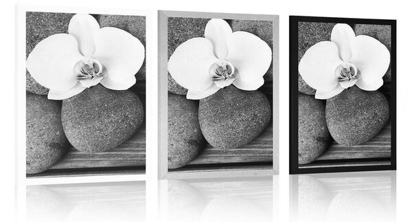 Poszter wellness kövek és orchidea fa háttéren
