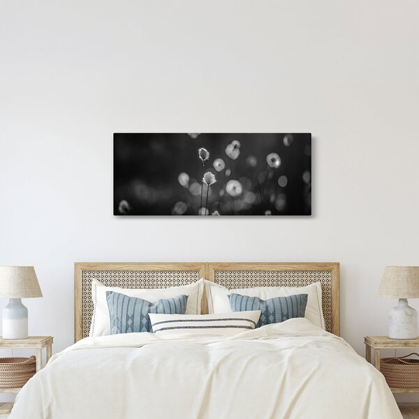Kép - Pamutfű a réten (120x50 cm)
