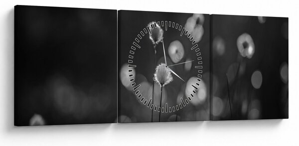 Kép - Pamutfű a réten (órával) (90x30 cm)