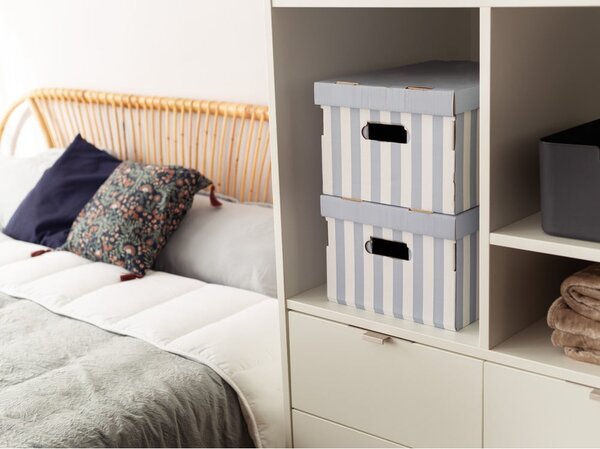 Fedeles karton tárolódoboz szett 2 db-os Stripes – Compactor