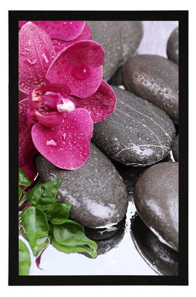 Poszter virágzó orchidea és wellness kövek