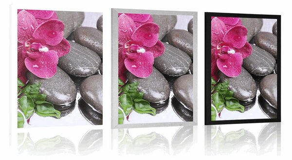 Poszter virágzó orchidea és wellness kövek