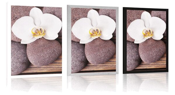 Poszter wellness orchidea fa háttéren