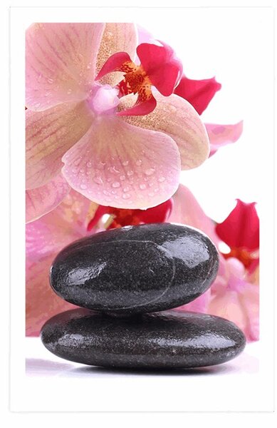 Poszter SPA kövek orchidea