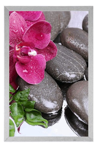 Poszter virágzó orchidea és wellness kövek