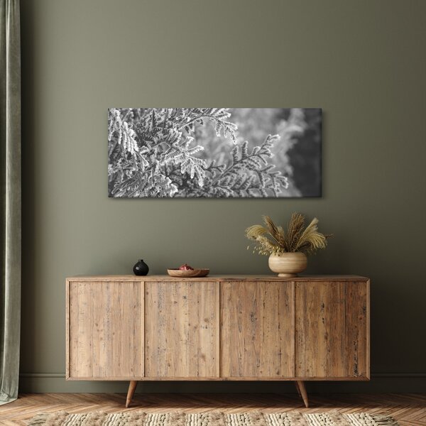 Kép - Lucfenyő erdő (120x50 cm)