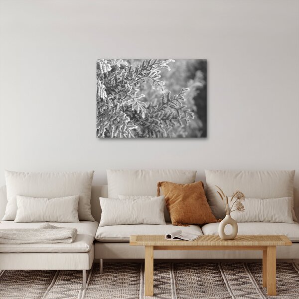 Kép - Lucfenyő erdő (70x50 cm)