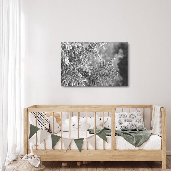 Kép - Lucfenyő erdő (90x60 cm)