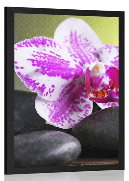 Poszter orchidea és fekete kövek