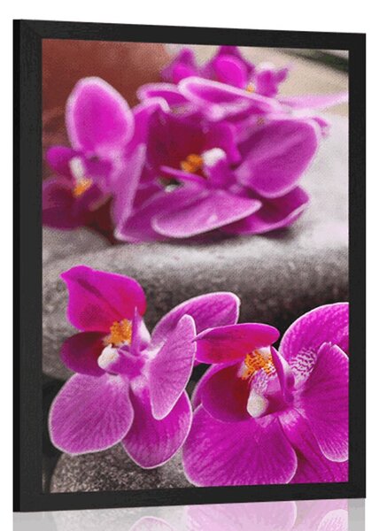 Poszter csodás kövek Zen és orchidea