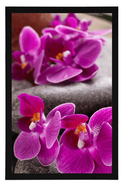 Poszter csodás kövek Zen és orchidea