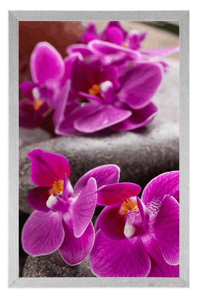 Poszter csodás kövek Zen és orchidea