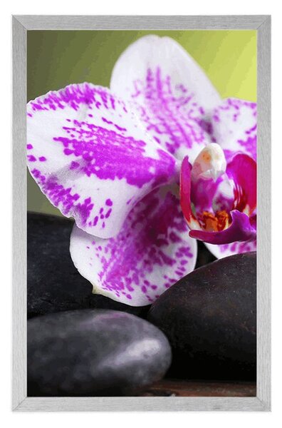 Poszter orchidea és fekete kövek