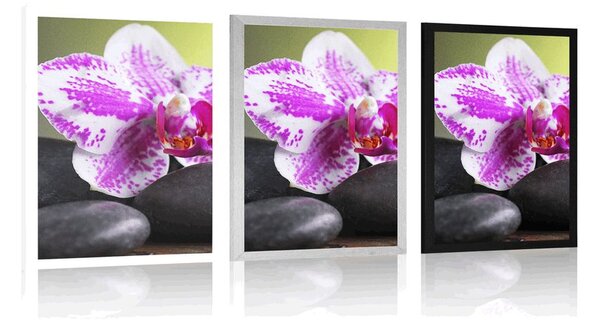 Poszter orchidea és fekete kövek
