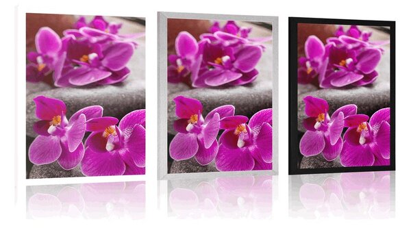 Poszter csodás kövek Zen és orchidea
