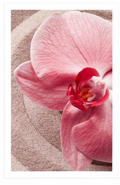 Poszter tengeri homok és rózsaszín orchidea
