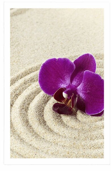 Poszter Zen kert lila orchideával