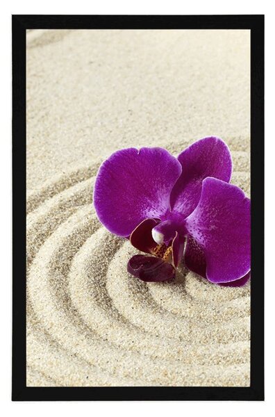 Poszter Zen kert lila orchideával