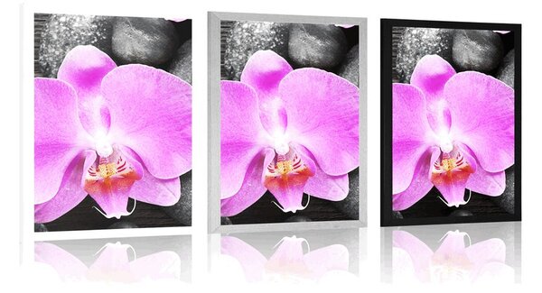 Poszter csodás orchidea és kövek
