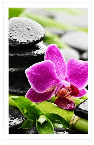 Poszter wellness csendélet lila orchideával