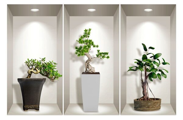 Bonsai Plants 3 db-os 3D falmatrica szett - Ambiance