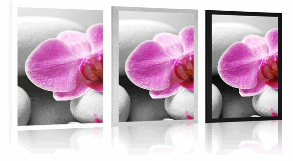 Poszter orchidea virág fehér köveken