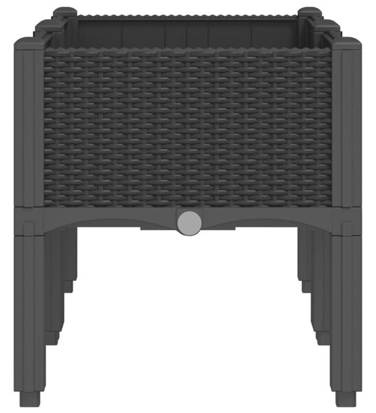 Fekete PP rácsos kerti ültetőláda 80 x 40 x 42 cm