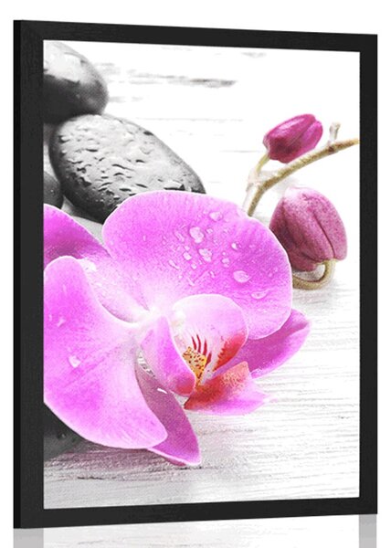Poszter varázslatos követ és orchidea összjátéka