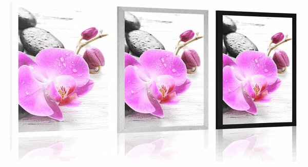 Poszter varázslatos követ és orchidea összjátéka
