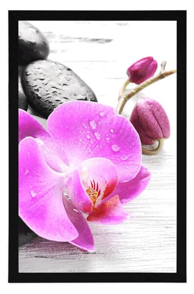 Poszter varázslatos követ és orchidea összjátéka