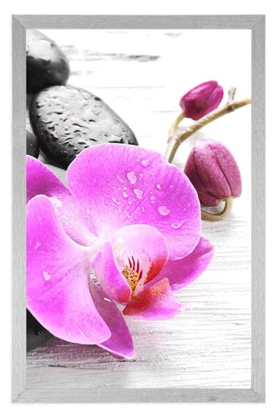 Poszter varázslatos követ és orchidea összjátéka