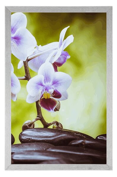 Poszter zen kövek és orchidea