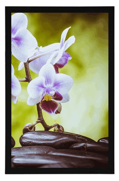 Poszter zen kövek és orchidea